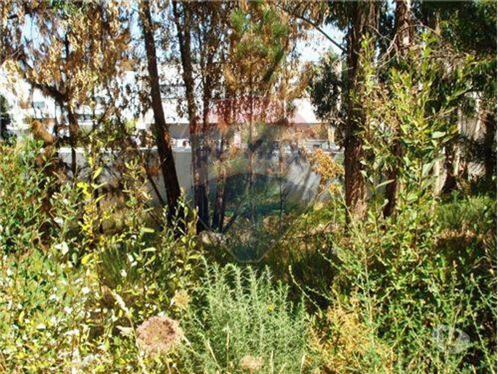 Terrenos Maia - Fotos para Terreno com projecto aprovado para Moradia T4 (125061021-123)