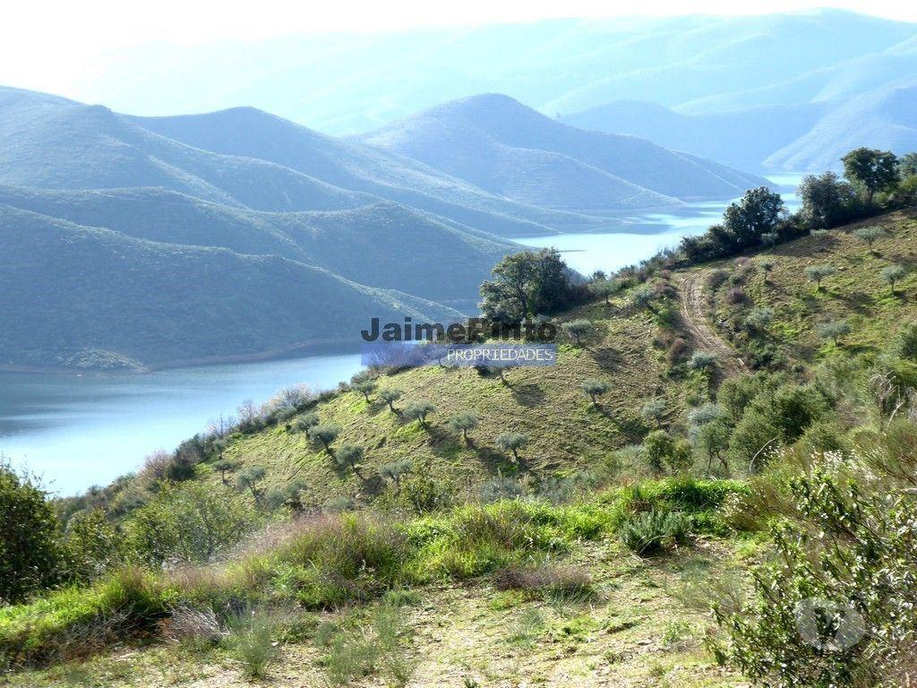 Terrenos Alfândega da Fé - Fotos para 190 000 m2 com cortiça. Portugal, Trás-os-Montes, Alfândega da