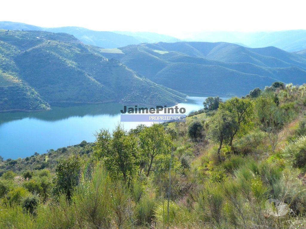 Terrenos Alfândega da Fé - Fotos para 190 000 m2 com cortiça. Portugal, Trás-os-Montes, Alfândega da