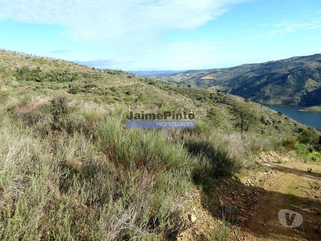 Terrenos Alfândega da Fé - Fotos para 190 000 m2 com cortiça. Portugal, Trás-os-Montes, Alfândega da