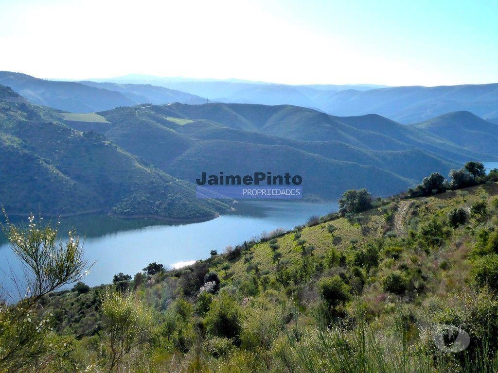 Terrenos Alfândega da Fé - Fotos para 190 000 m2 com cortiça. Portugal, Trás-os-Montes, Alfândega da