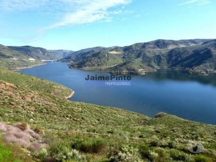 Terrenos - Fotos para 190 000 m2 com cortiça. Portugal, Trás-os-Montes, Alfândega da