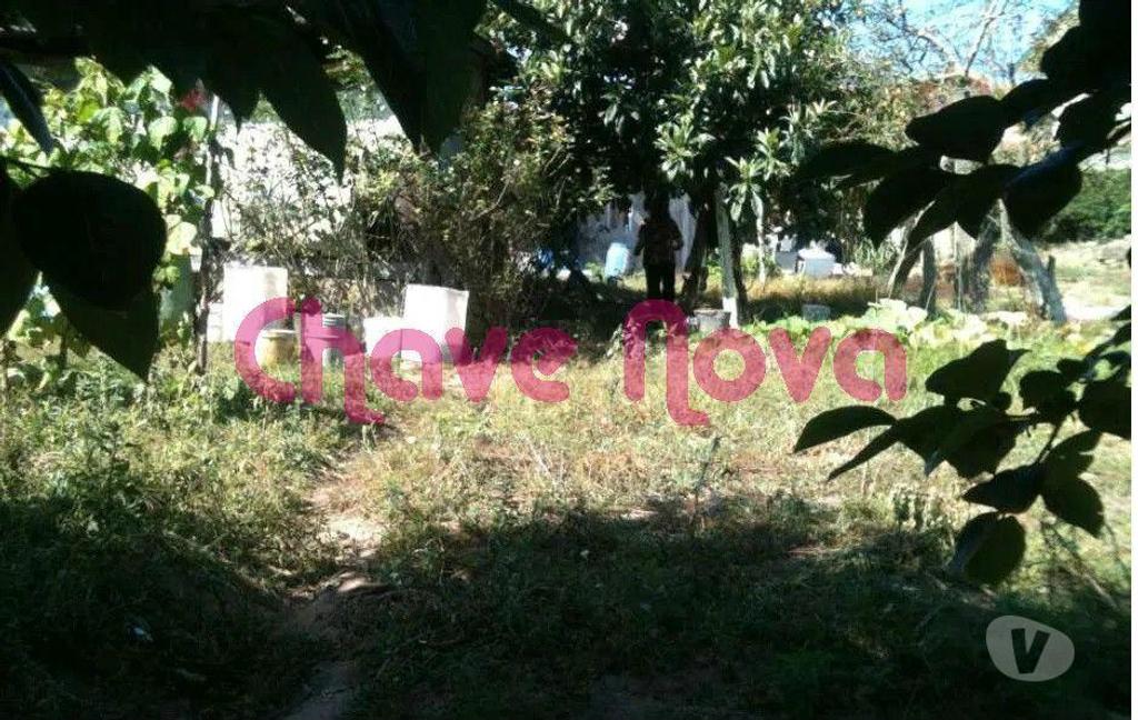 Terrenos Matosinhos - Fotos para Matosinhos-Terreno Rústico - Matosinhos (RT 01325)