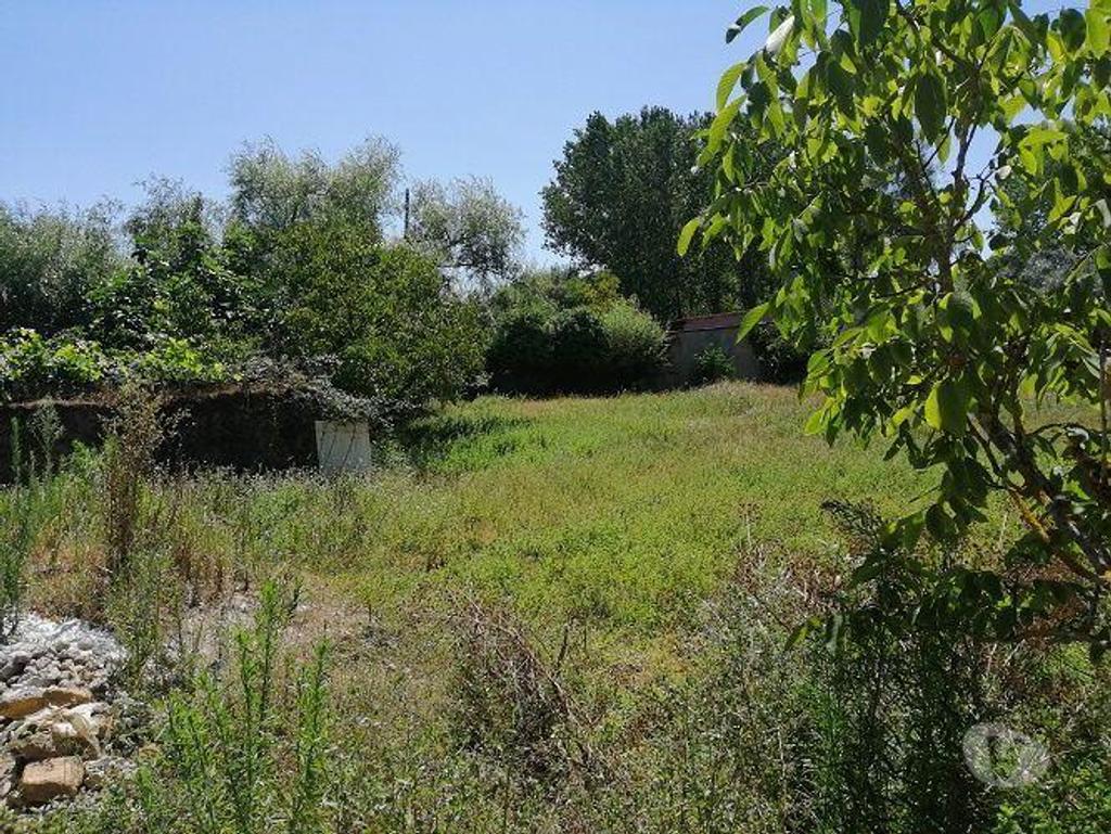 Terrenos Cantanhede - Fotos para Cantanhede-Terreno para venda (02941)
