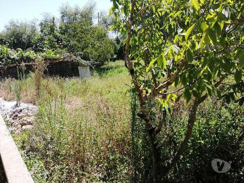 Terrenos Cantanhede - Fotos para Cantanhede-Terreno para venda (02941)