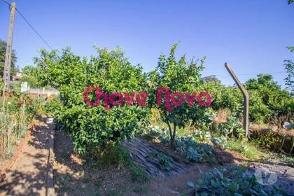 Terrenos - Fotos para Terreno Urbano em São Martinho da Gândara,Oliveira de Azeméis