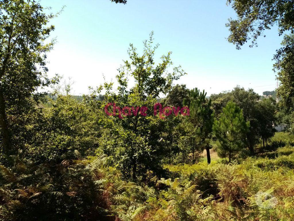Terrenos Vila Nova de Gaia - Fotos para Terreno para construção de Moradia em V.N.Gaia (RT 01392)