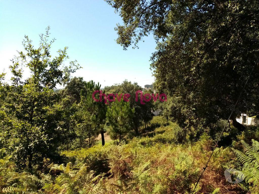 Terrenos Vila Nova de Gaia - Fotos para Terreno para construção de Moradia em V.N.Gaia (RT 01392)