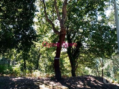Terrenos - Fotos para Terreno para construção de Moradia em V.N.Gaia (RT 01392)