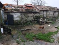 Quinta em Soalhães Marco de Canaveses (807206164)