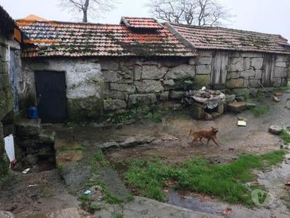 Terrenos - Fotos para Quinta em Soalhães Marco de Canaveses (807206164)
