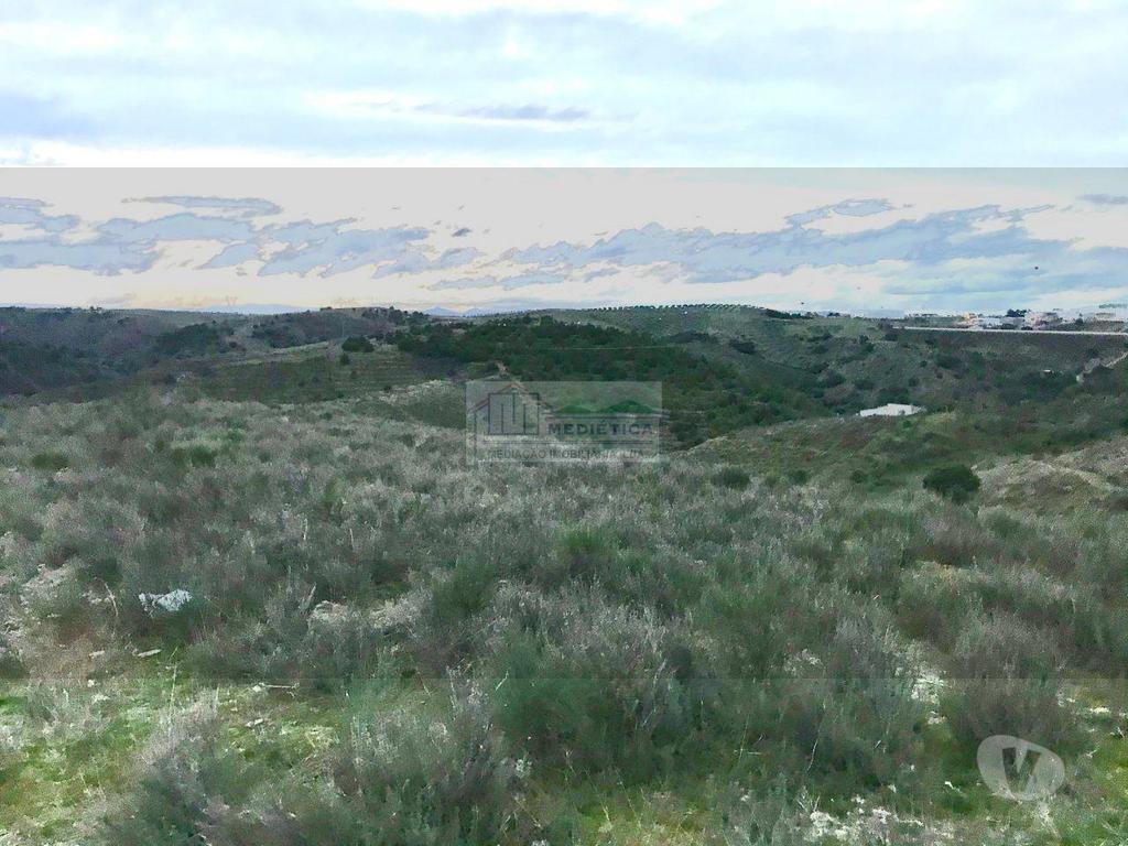 Terrenos Alfândega da Fé - Fotos para Alfandega-da-fe-Quinta junto à Vila de Alfândega da Fé (Q 00377)