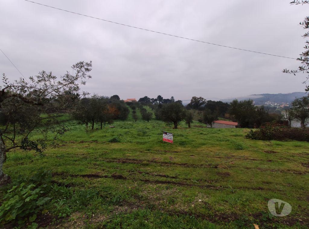 Terrenos Ourém - Fotos para Terreno localizado em zona calma e com vistas espetaculares.