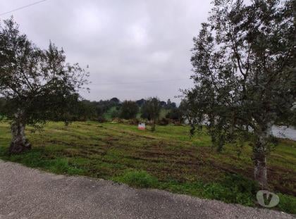 Terrenos - Fotos para Terreno localizado em zona calma e com vistas espetaculares.