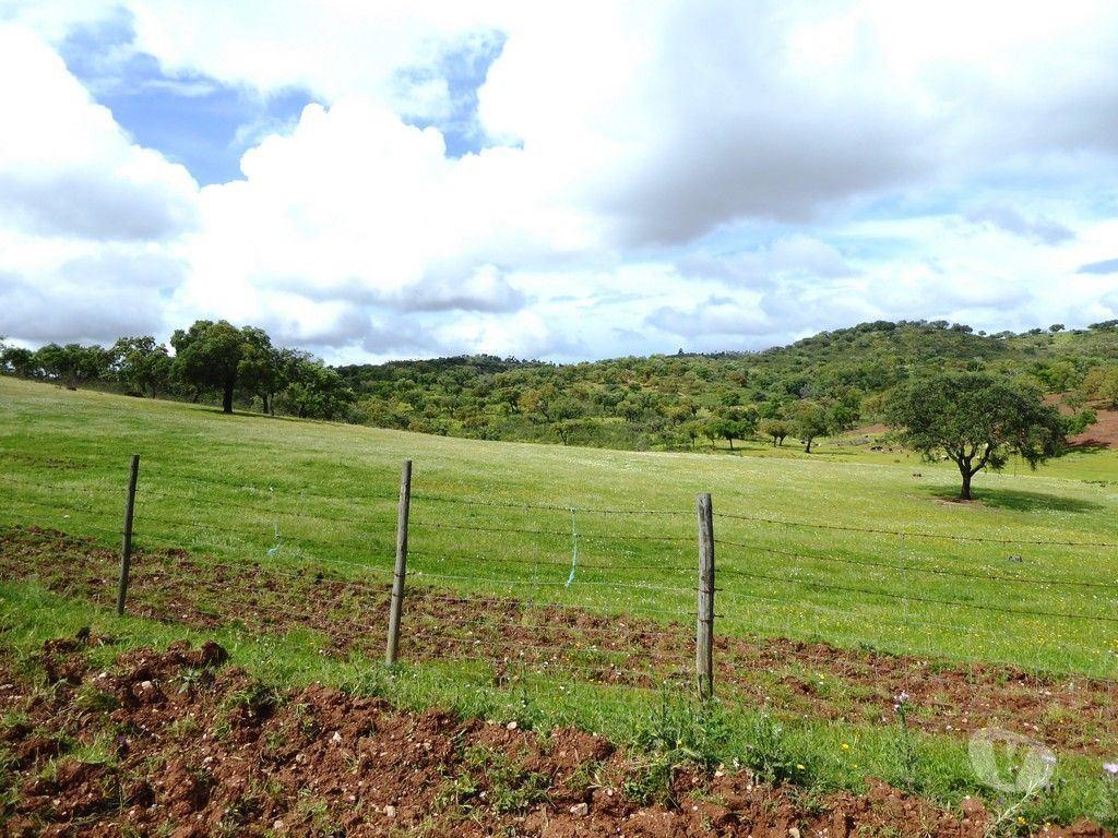 Terrenos Portel - Fotos para 364 HA aptidão para BOVINOS, OVINOS, CAPRINOS. Portel, Évora,