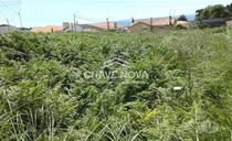 Comprar Loja Vila Nova de Gaia - Fotos para Terreno com 4.600 m2 em Arcozelo, Gaia