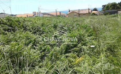 Comprar Loja - Fotos para Terreno com 4.600 m2 em Arcozelo, Gaia