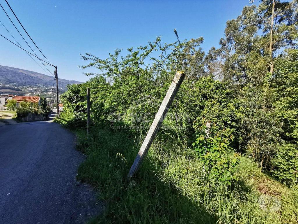 Comprar Loja Arouca - Fotos para Terreno em Arouca próximo ao estádio municipal com...