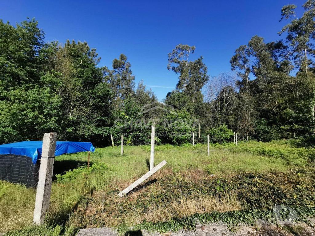 Comprar Loja Arouca - Fotos para Terreno em Arouca próximo ao estádio municipal com...