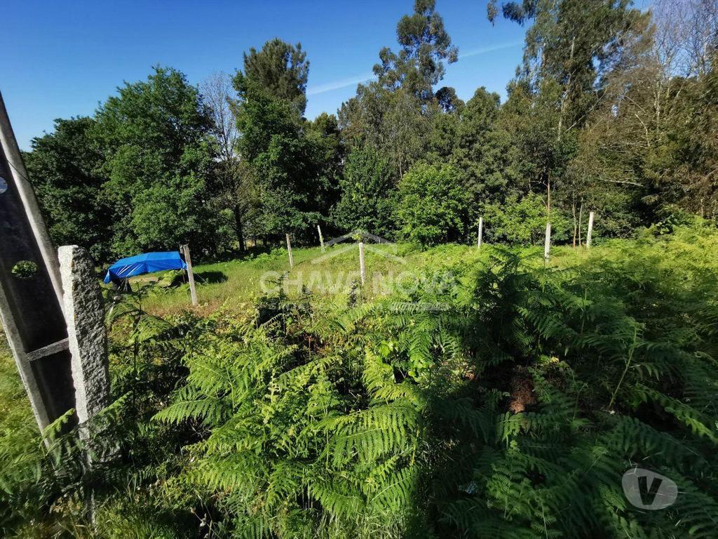 Comprar Loja Arouca - Fotos para Terreno em Arouca próximo ao estádio municipal com...