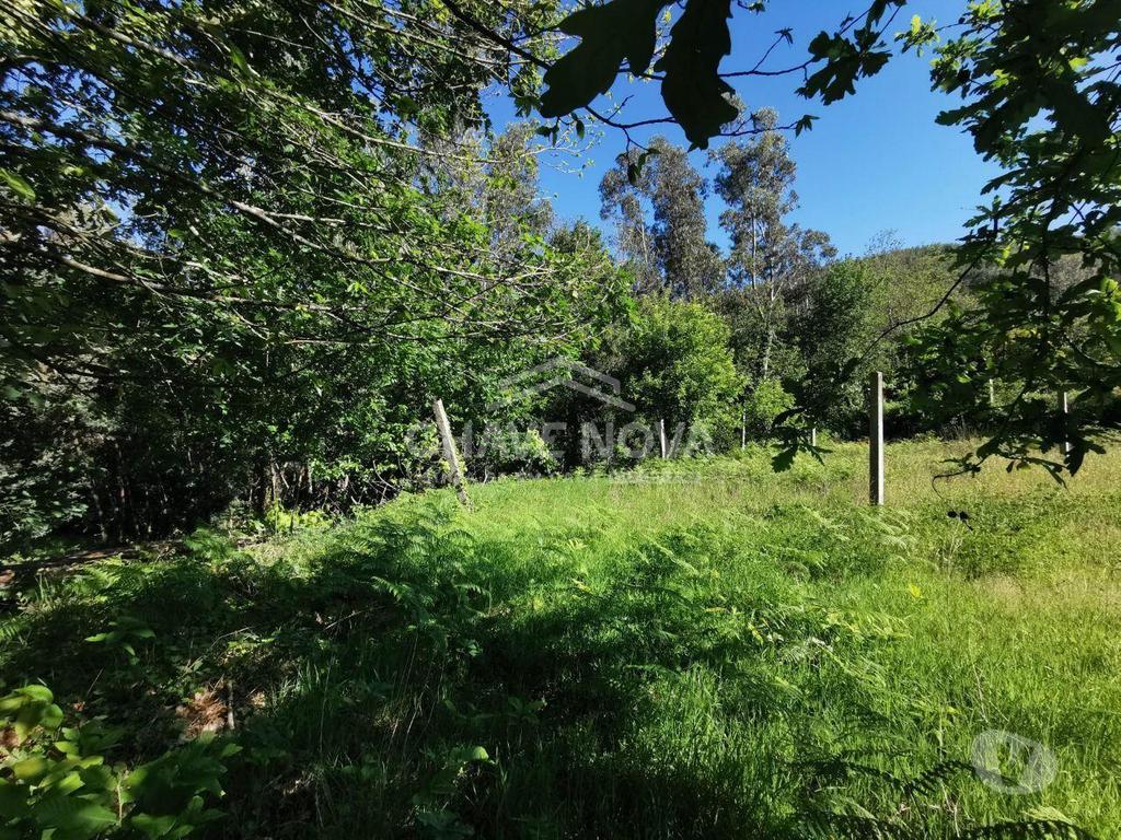 Comprar Loja Arouca - Fotos para Terreno em Arouca próximo ao estádio municipal com...