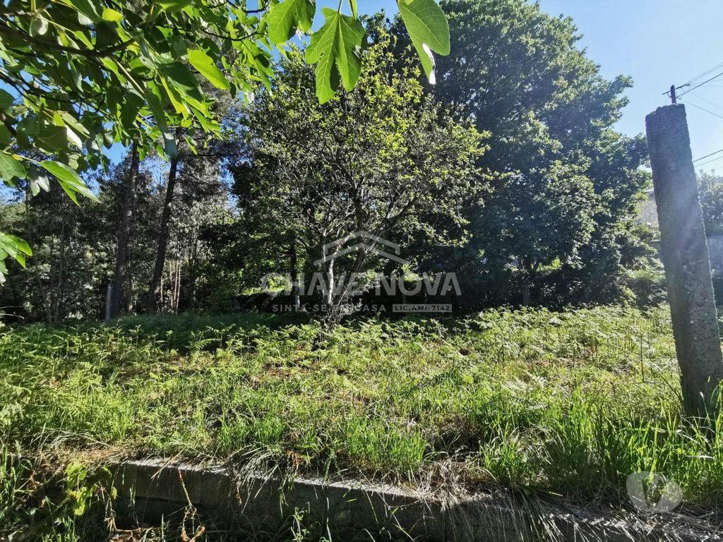 Comprar Loja Arouca - Fotos para Terreno em Arouca próximo ao estádio municipal com...