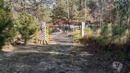 Terrenos - Fotos para Fafe-Terreno para Venda (125061044-52)