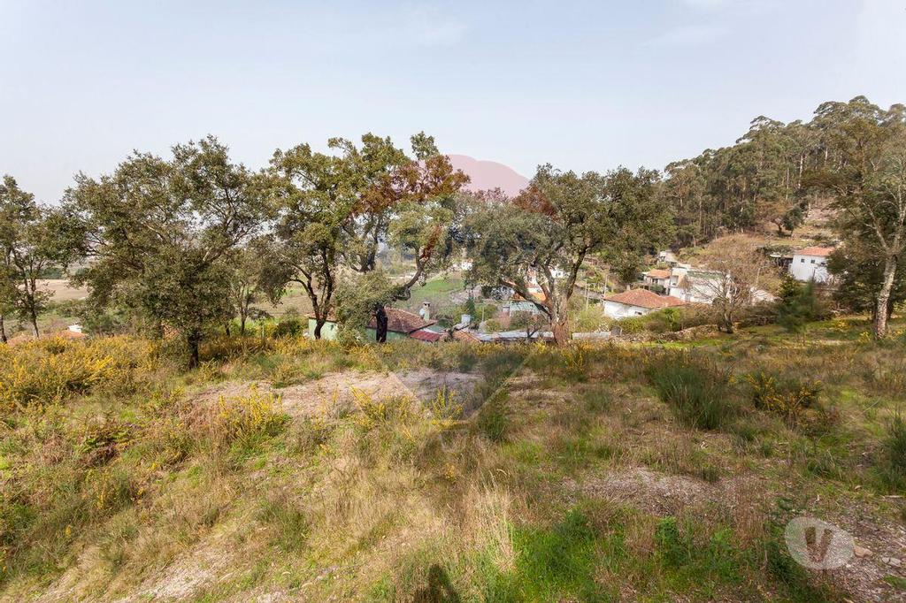 Terrenos Santo Tirso - Fotos para Santo-tirso-Terreno para Venda (124851023-134)