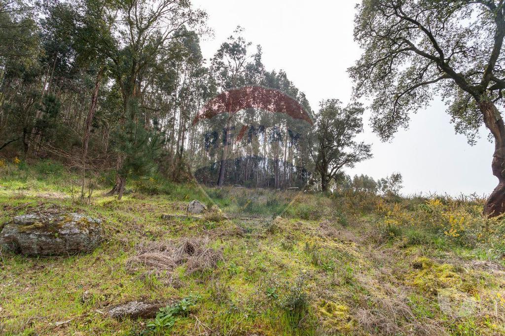 Terrenos Santo Tirso - Fotos para Santo-tirso-Terreno para Venda (124851023-134)
