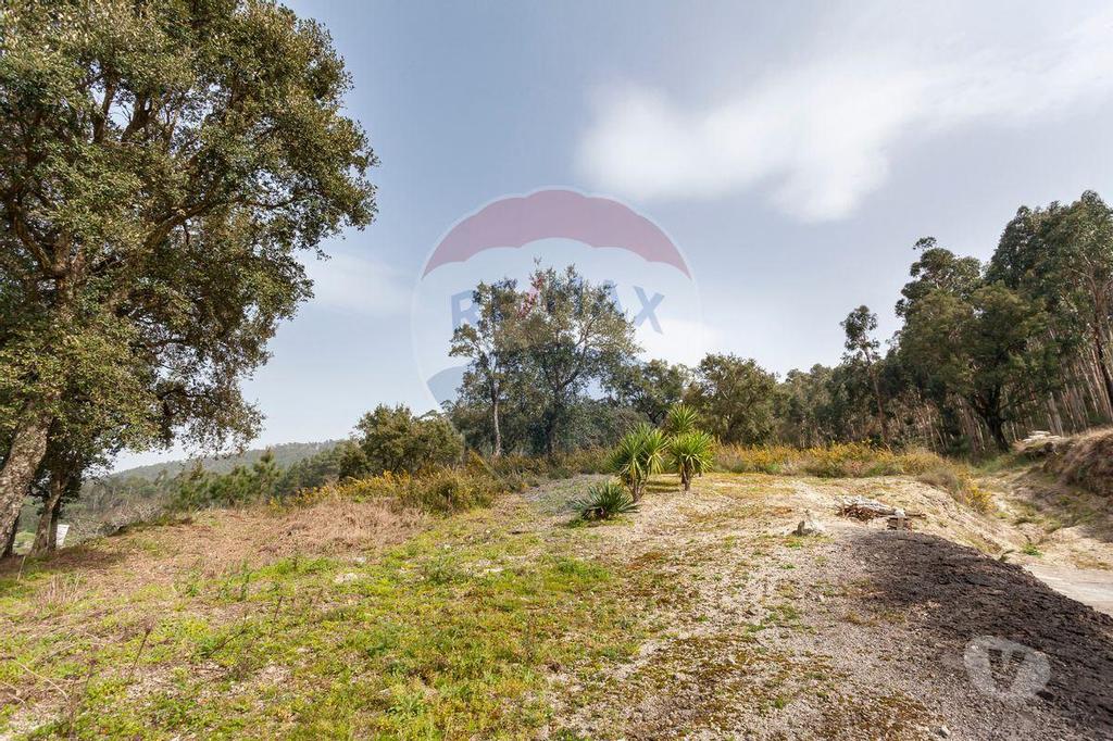 Terrenos Santo Tirso - Fotos para Santo-tirso-Terreno para Venda (124851023-134)