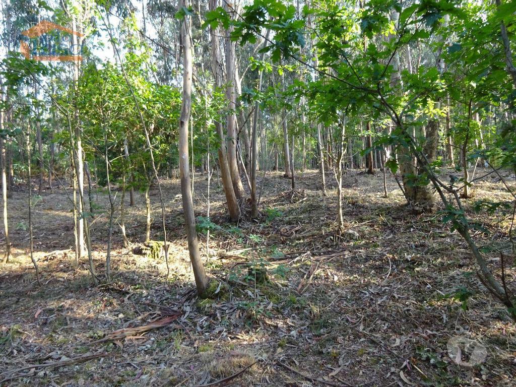 Terrenos Vila Nova de Gaia - Fotos para Terreno com 2.200 m2 para construção de uma moradia de 4 frentes