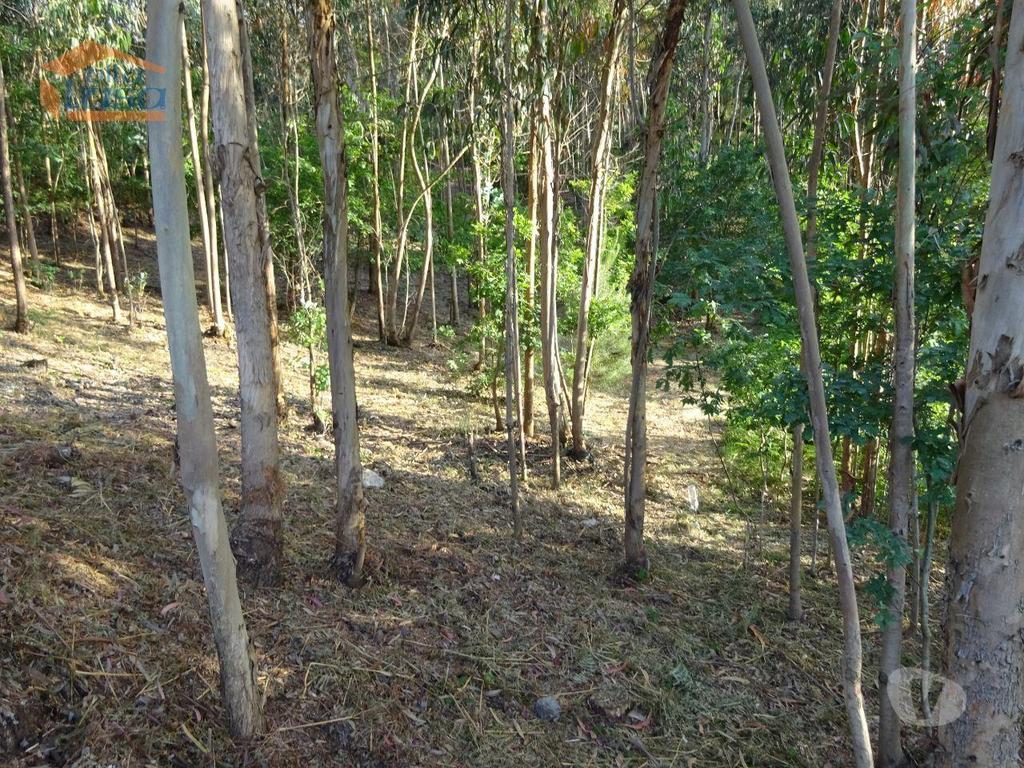 Terrenos Vila Nova de Gaia - Fotos para Terreno com 2.200 m2 para construção de uma moradia de 4 frentes
