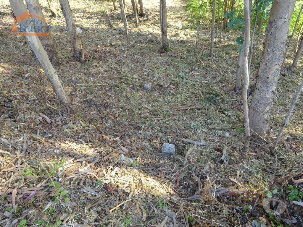 Terrenos Vila Nova de Gaia - Fotos para Terreno com 2.200 m2 para construção de uma moradia de 4 frentes