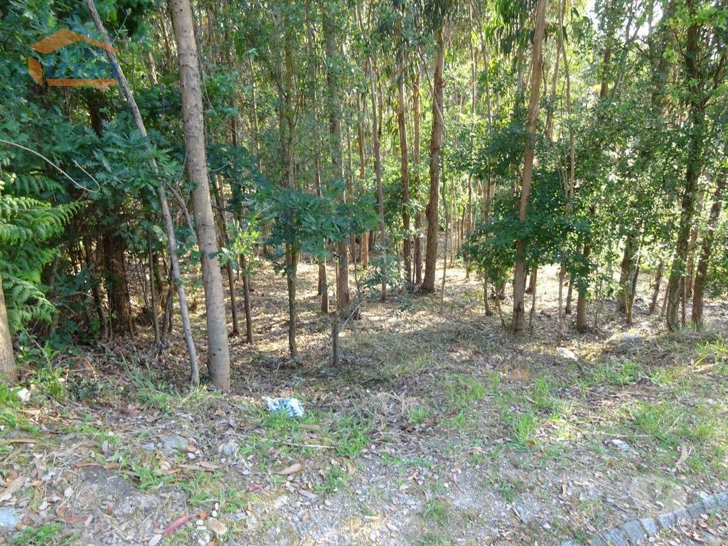 Terrenos Vila Nova de Gaia - Fotos para Terreno com 2.200 m2 para construção de uma moradia de 4 frentes