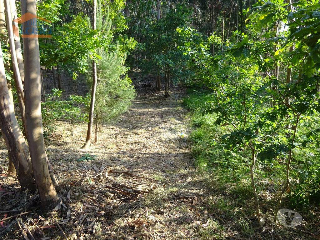 Terrenos Vila Nova de Gaia - Fotos para Terreno com 2.200 m2 para construção de uma moradia de 4 frentes