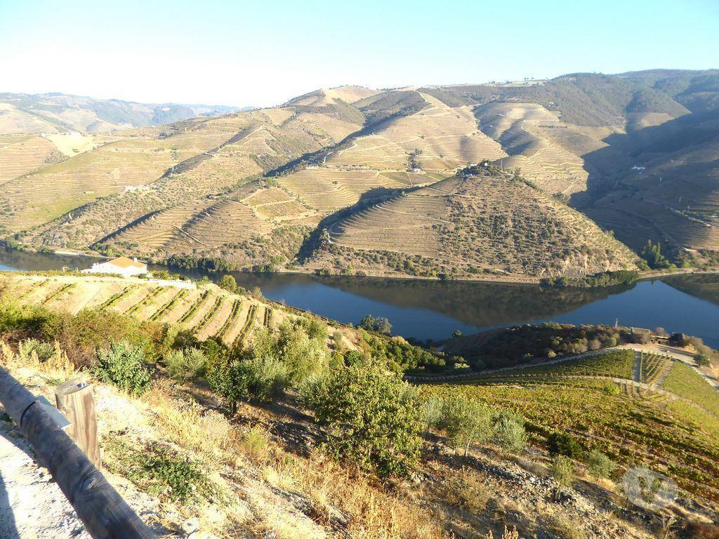 Comprar Loja Alijó - Fotos para Exploração HOTEL no Douro, Portugal, Douro