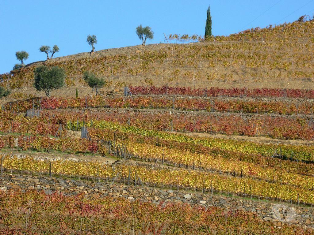 Comprar Loja Alijó - Fotos para Exploração HOTEL no Douro, Portugal, Douro