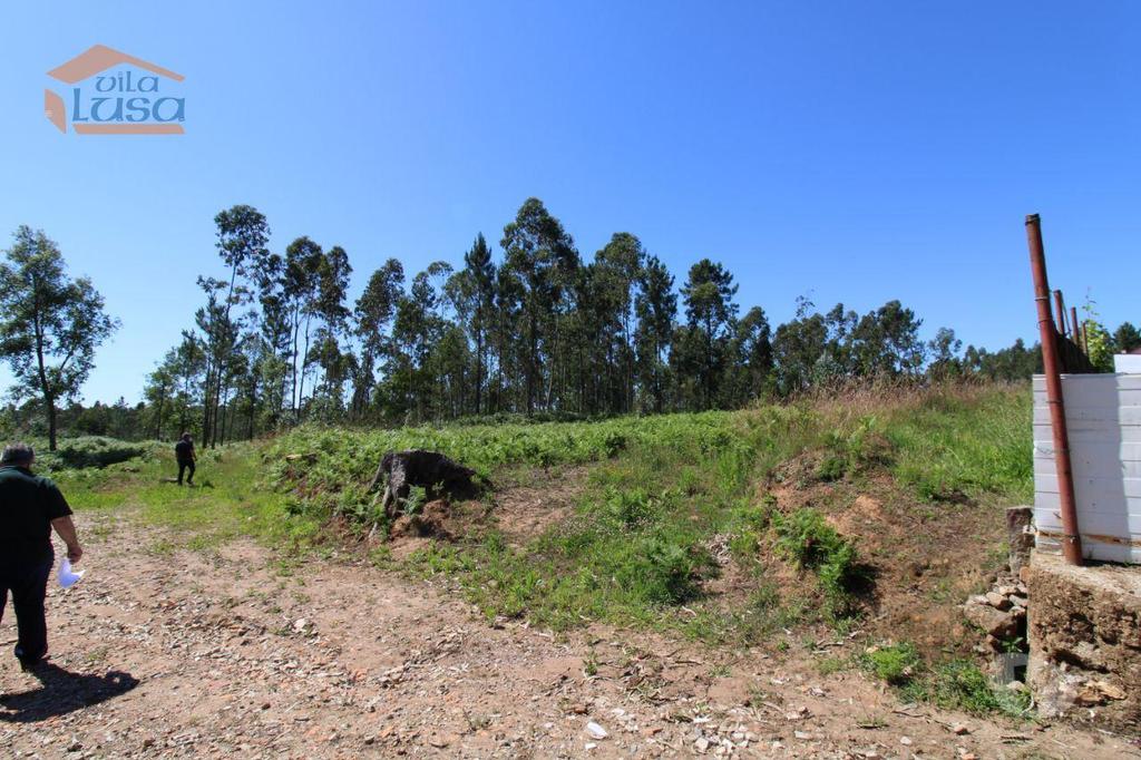 Terrenos Vila Nova de Gaia - Fotos para Terreno Industrial com 2.500 m2 para a construção de armazém