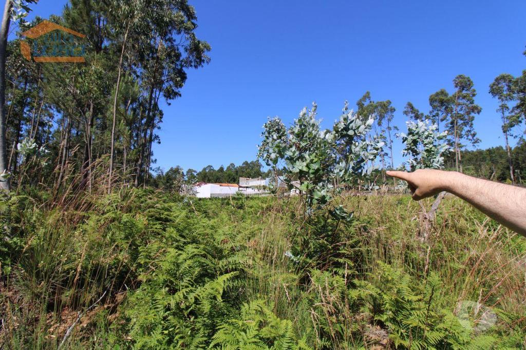 Terrenos Vila Nova de Gaia - Fotos para Terreno Industrial com 2.500 m2 para a construção de armazém