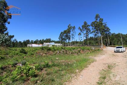 Terrenos - Fotos para Terreno Industrial com 2.500 m2 para a construção de armazém