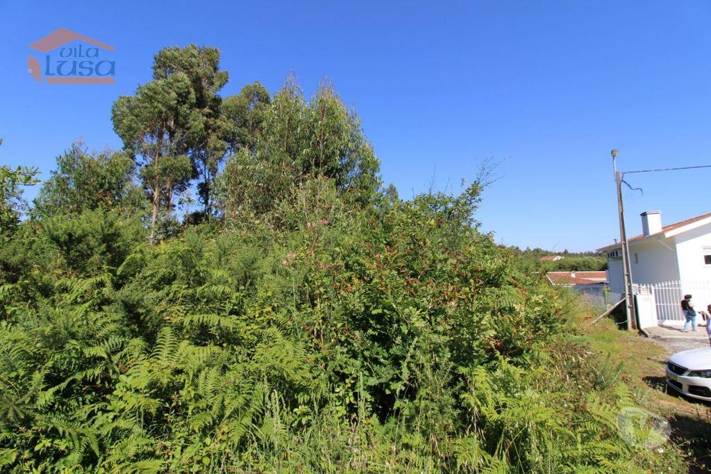 Terrenos Vila Nova de Gaia - Fotos para Terreno Industrial com 28.000 m2 para a construção de armazém