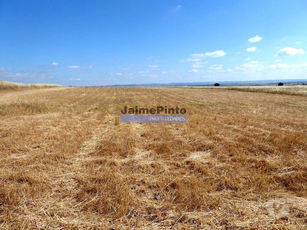 Terrenos Beja - Fotos para 570 000 m2 terra agrícola p SEQUEIRO. Portugal, Baixo Alentejo,