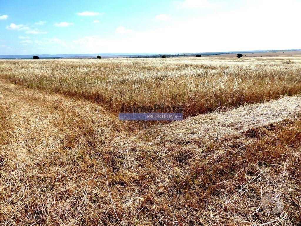 Terrenos Beja - Fotos para 570 000 m2 terra agrícola p SEQUEIRO. Portugal, Baixo Alentejo,