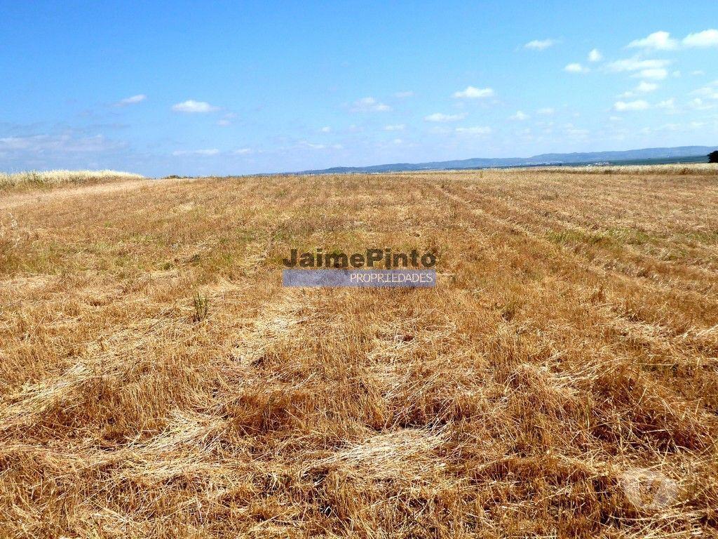 Terrenos Beja - Fotos para 570 000 m2 terra agrícola p SEQUEIRO. Portugal, Baixo Alentejo,