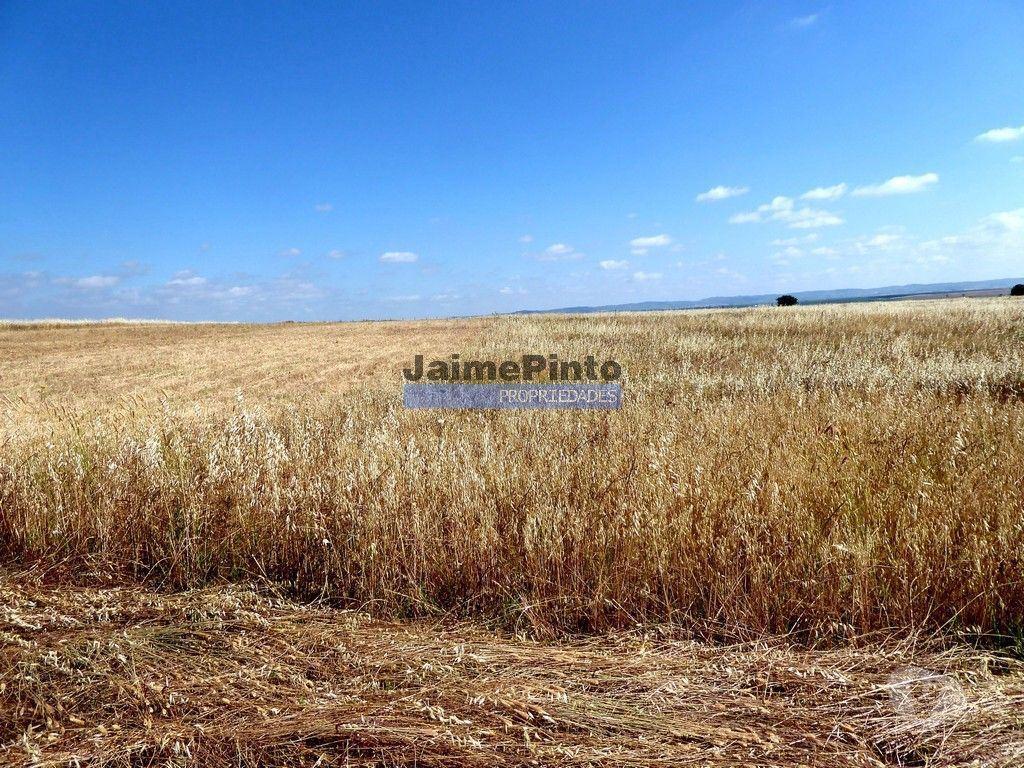 Terrenos Beja - Fotos para 570 000 m2 terra agrícola p SEQUEIRO. Portugal, Baixo Alentejo,