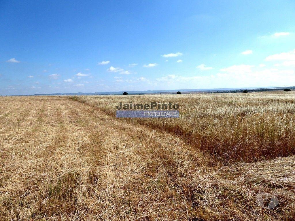 Terrenos Beja - Fotos para 570 000 m2 terra agrícola p SEQUEIRO. Portugal, Baixo Alentejo,