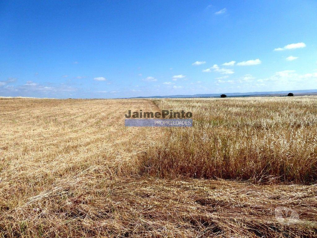 Terrenos Beja - Fotos para 570 000 m2 terra agrícola p SEQUEIRO. Portugal, Baixo Alentejo,