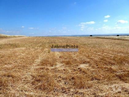 Terrenos e Quintas - Fotos para 570 000 m2 terra agrícola p SEQUEIRO. Portugal, Baixo Alentejo,