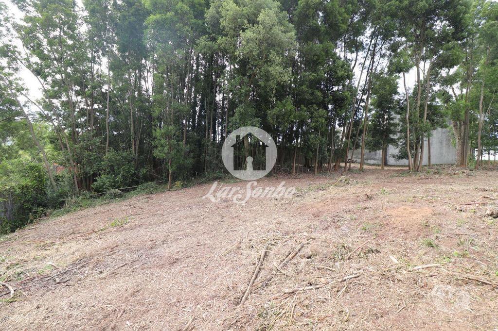 Terrenos Ovar - Fotos para Ovar-Terreno em Esmoriz com 3300m2 (259-T-00105)