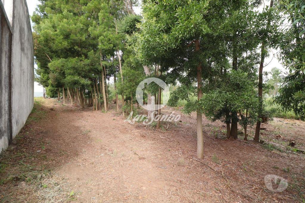 Terrenos Ovar - Fotos para Ovar-Terreno em Esmoriz com 3300m2 (259-T-00105)